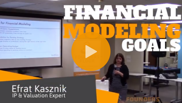 Video: Understanding Financial Modeling Goals