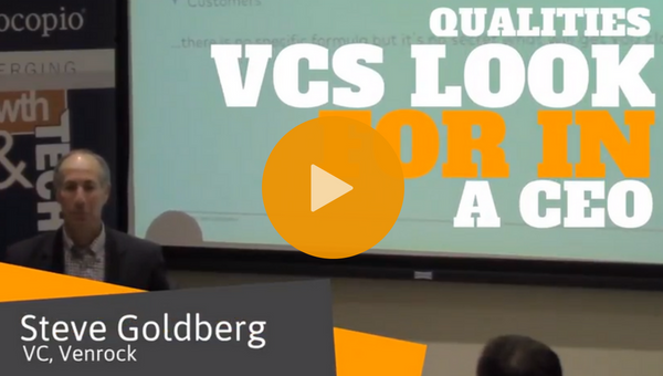 Video: Steve Goldberg on the CEO Qualities that Matter